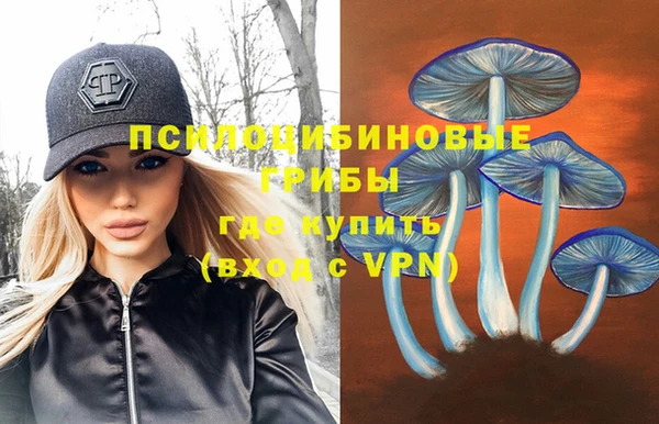 героин Бородино