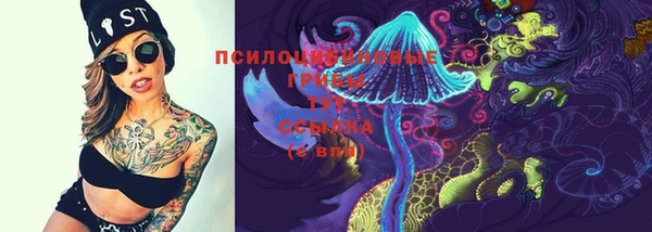 дживик Бронницы